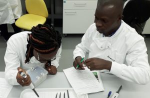 Lab work at Virus vector Vice Versa training, June 2019, University of Bristol