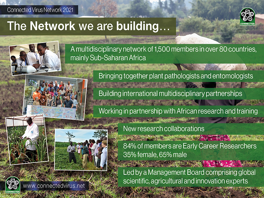 Building network infographic