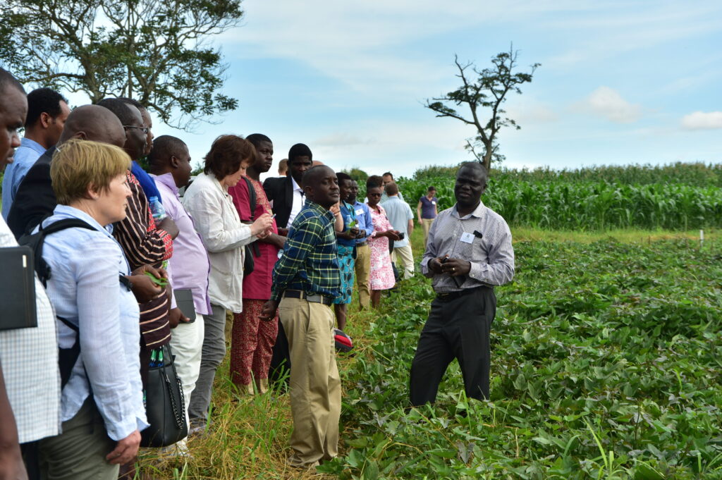 Africa Launch May 2018 d NaCRRI field day