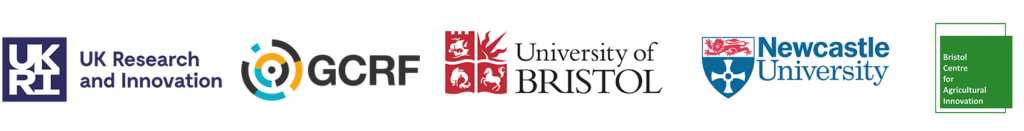 UKRI GCRF UoB Newcastle BCAI banner copy